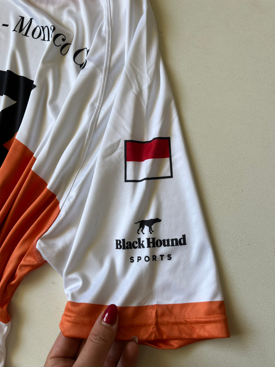 اورجینال/تیشرت سوزنی مردانه